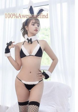 Girls in bunny costumes