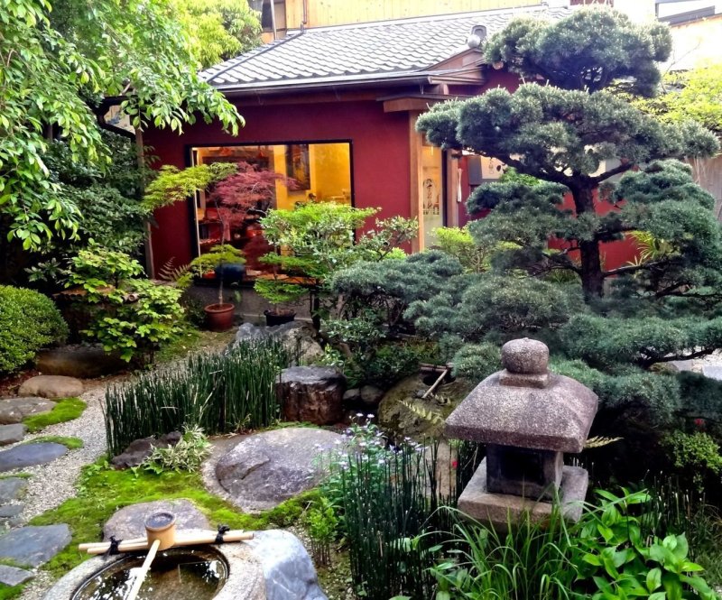 Japanese garden