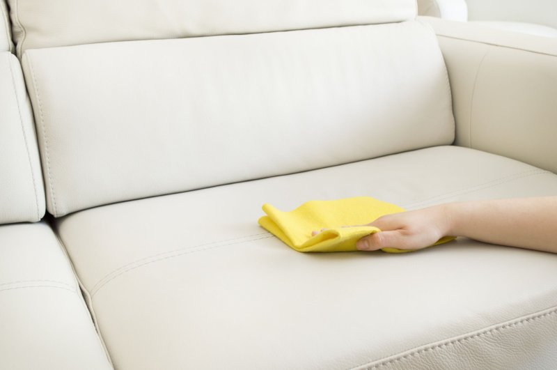 Cleaning the sofa