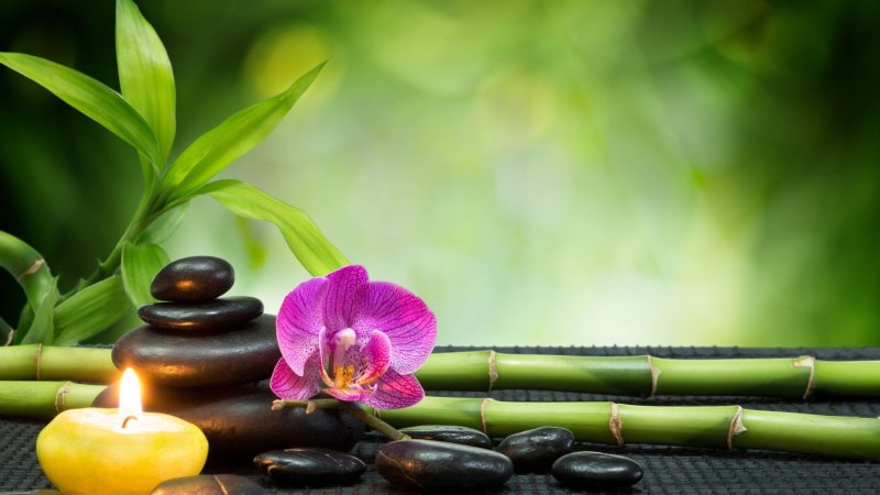 Ayurvedic Healing