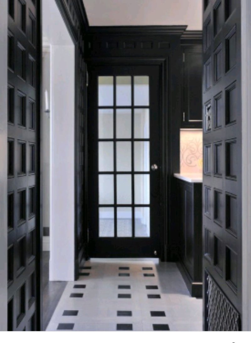 Black doors in the interior