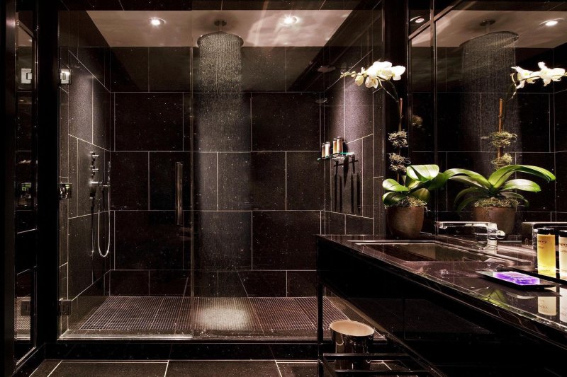 Shower in dark style