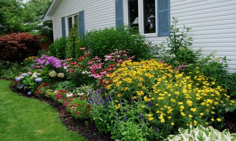 Flower beds in the country