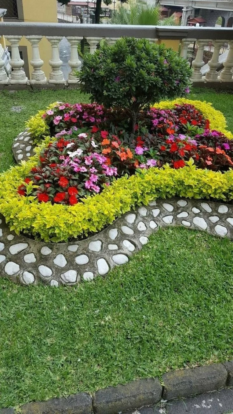 Flower flower bed