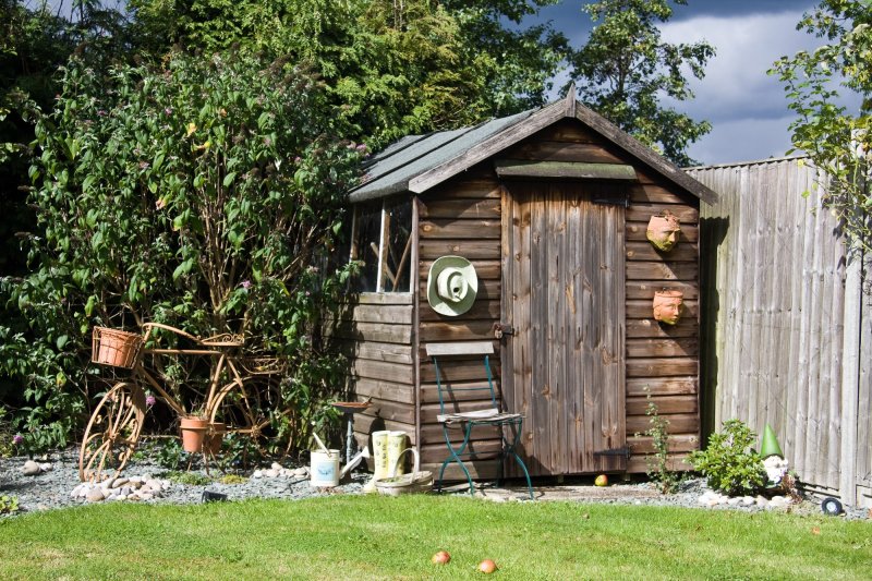 Shed design in the country