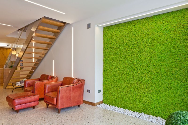 Artificial lawn on the wall