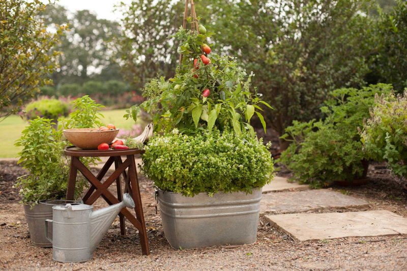 Container garden