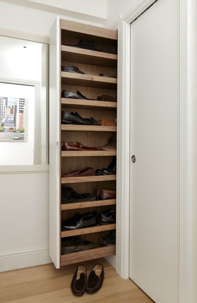 Shoe cabinet shoe