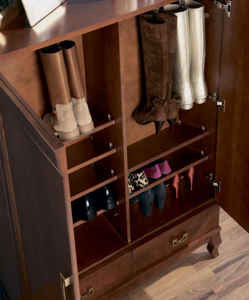 Shoe cabinet shoe