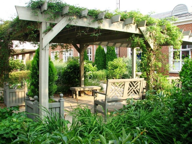 Pergola in the garden