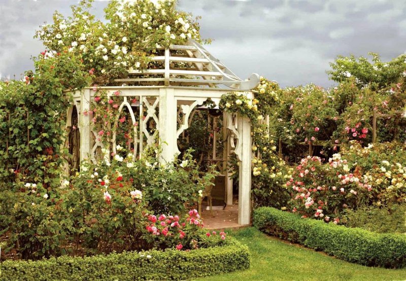 Park gazebo stolen ivy