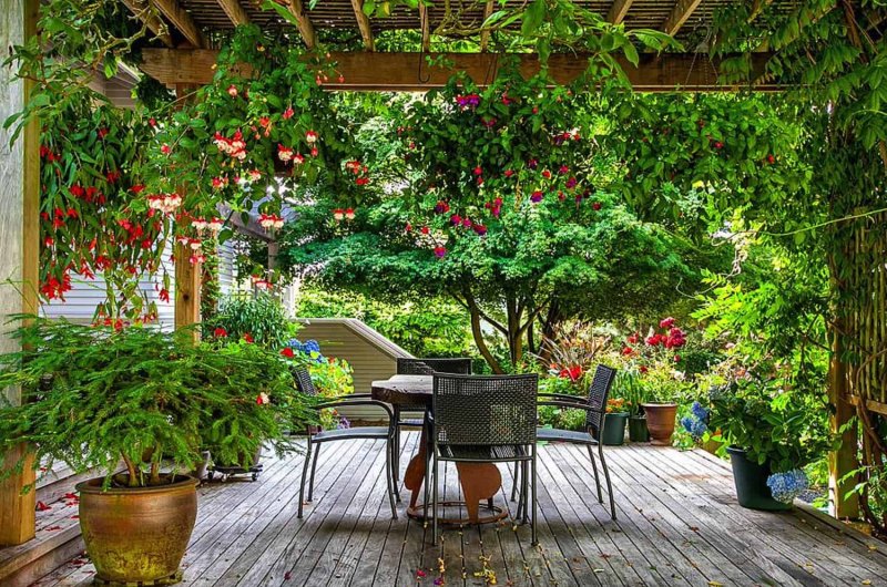 The veranda is in the garden