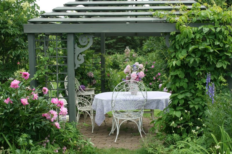 Pergola in the English garden