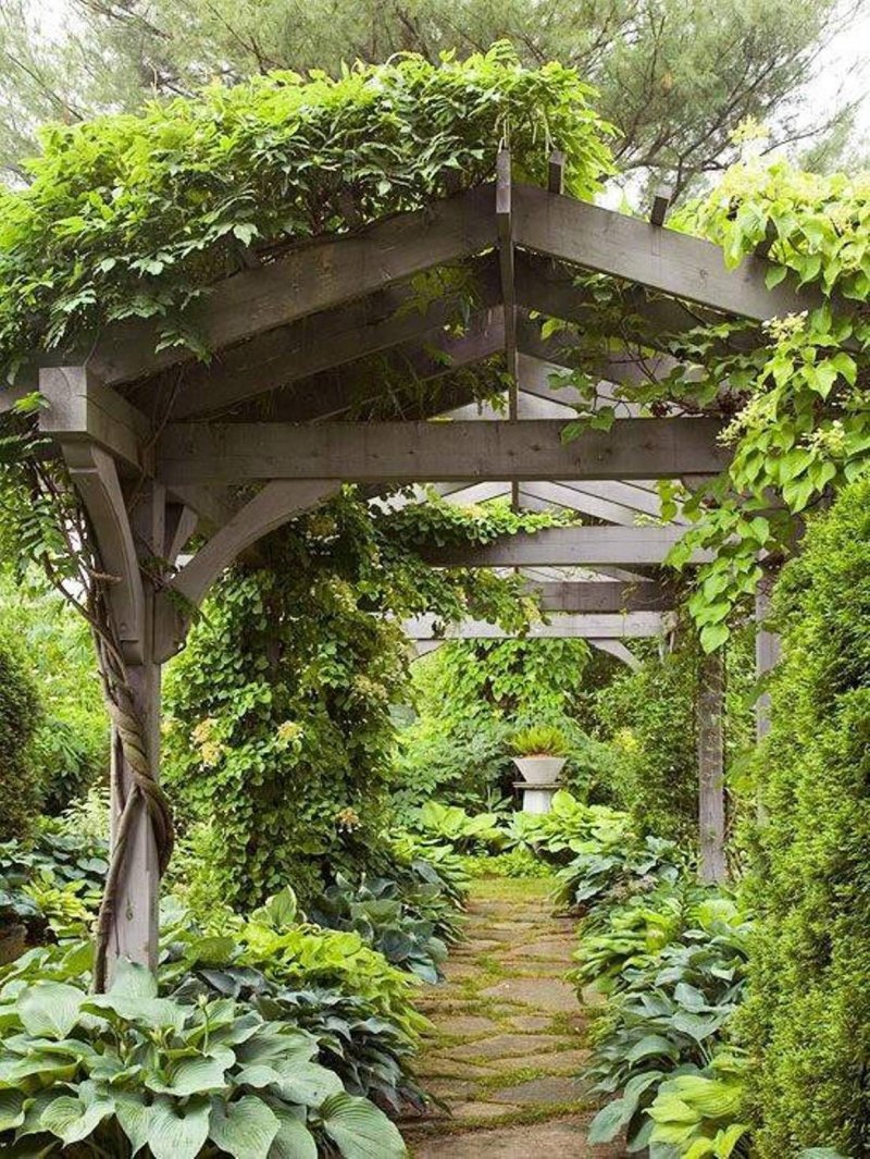 Pergola is twisted with ivy