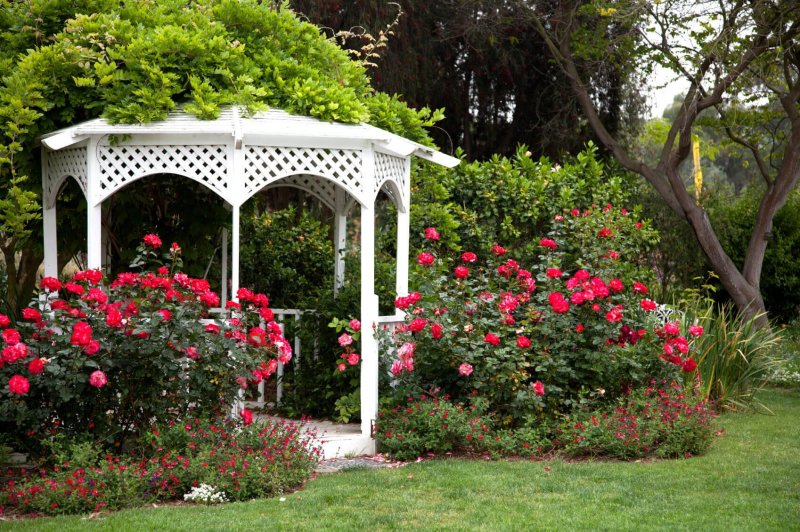 White gazebo in the garden