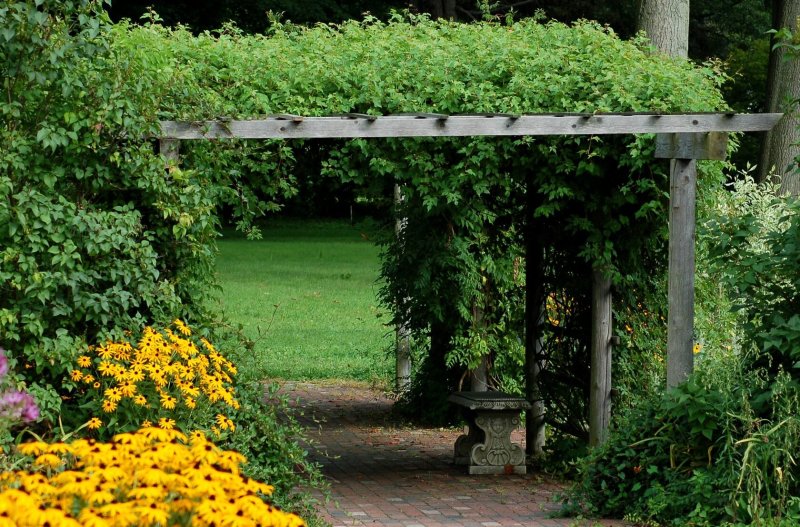 Pergola arch stored by plants