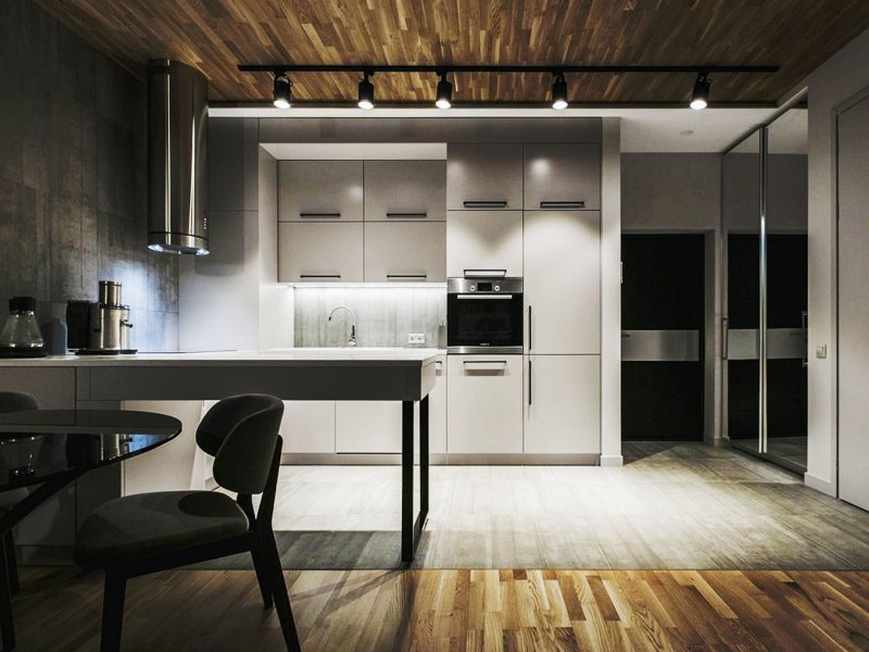 Kitchen design in a modern style