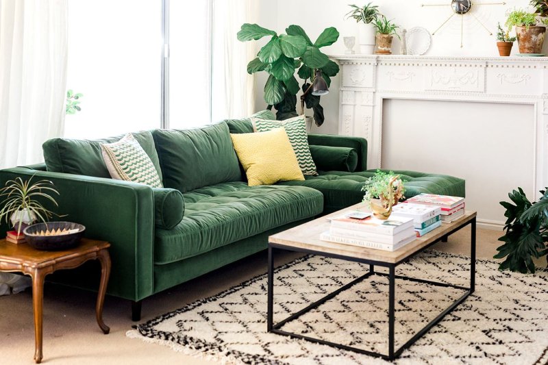 Green sofa in the interior