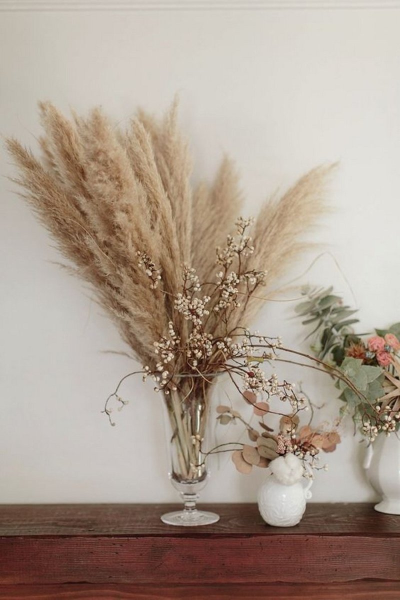 Pampas grass is dry -flowered