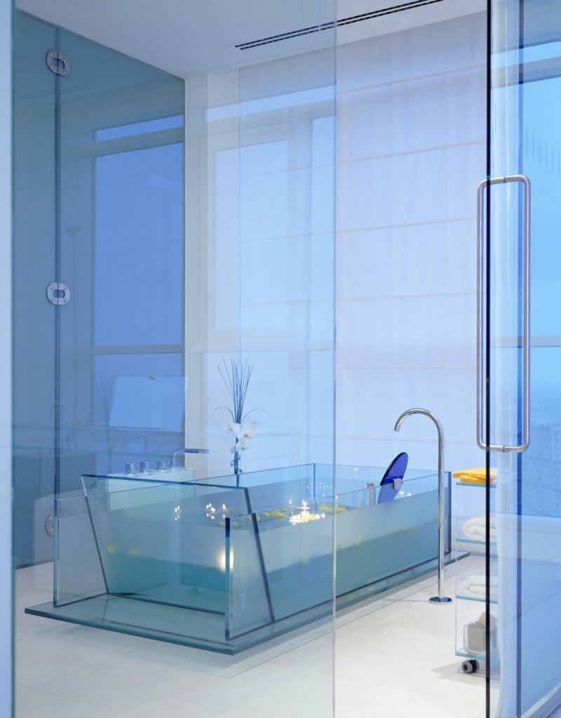 Glass partition for the bathroom