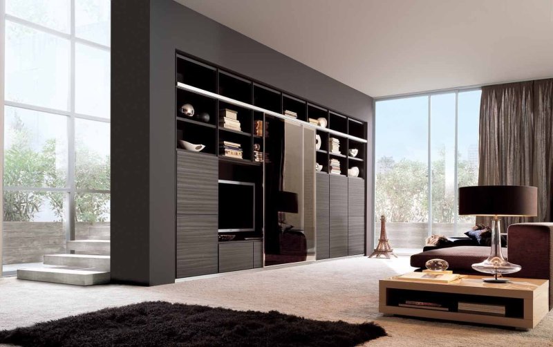 Living cabinets in a modern style