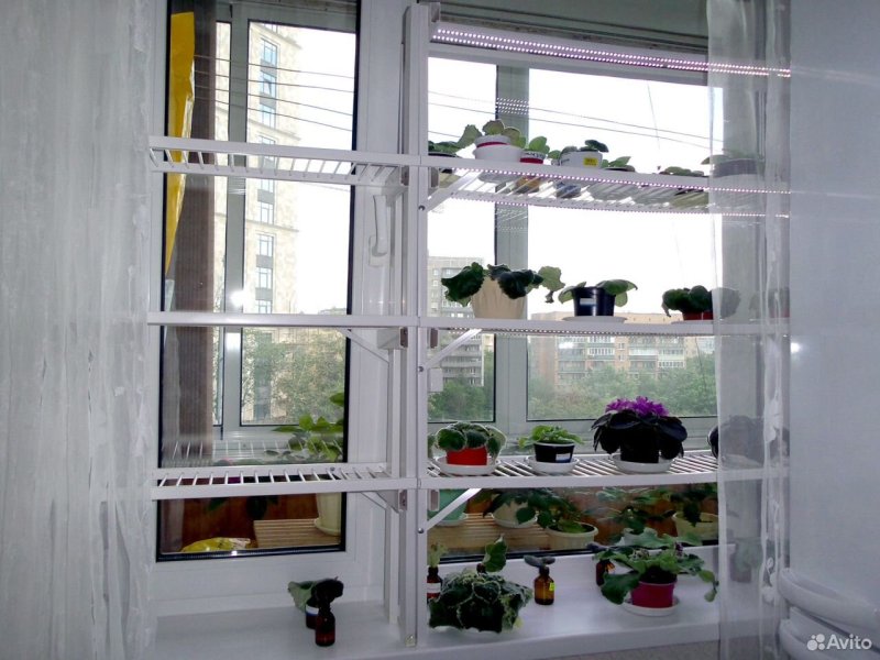 Shelves for flowers on the windowsill