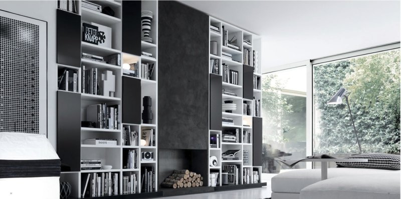 Bookcase in a modern style