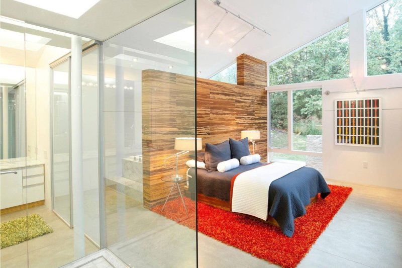 Glass partitions for the house