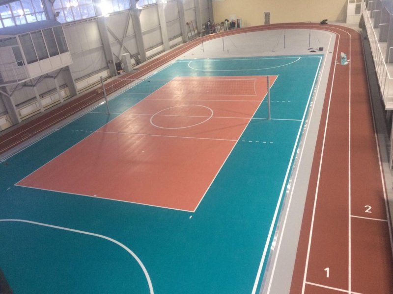 Sports linoleum for the gym