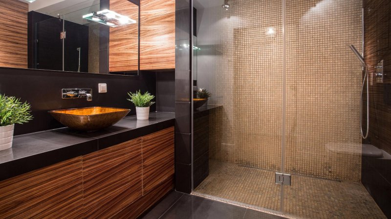 Shower in modern style