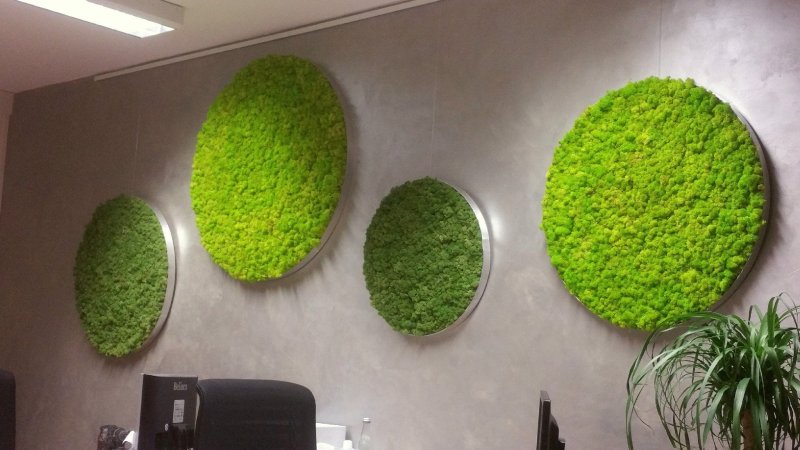 Artificial grass on the wall