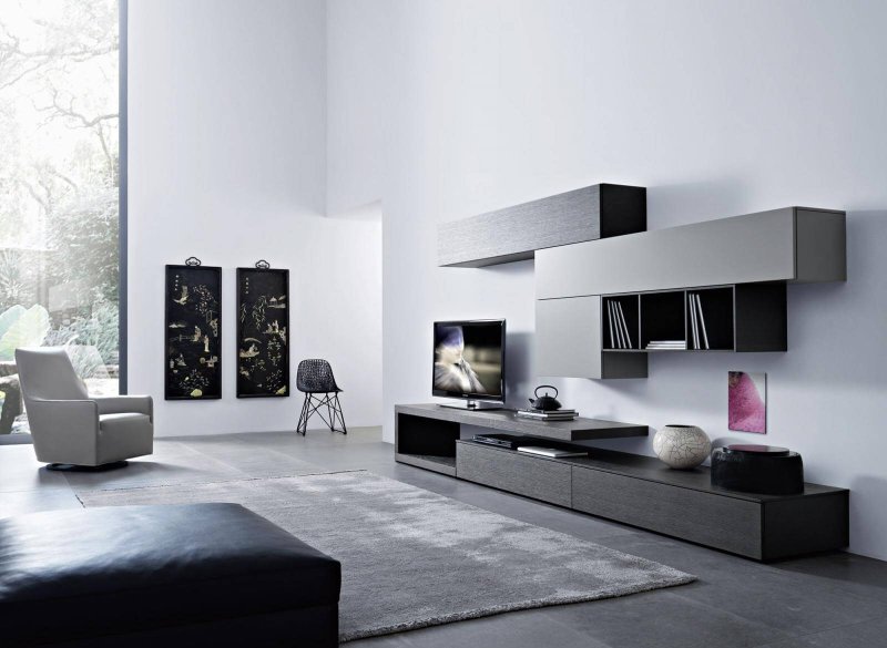 Modular walls for the living room in a modern style