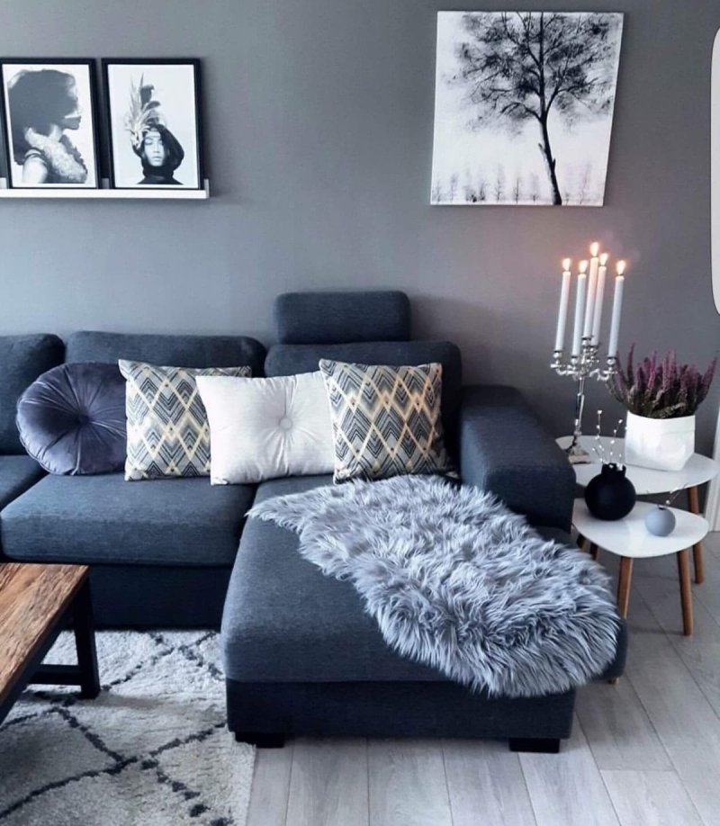 Gray sofa in the interior