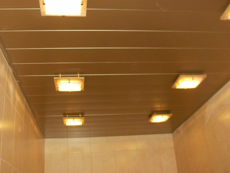 Rack ceiling for the bathroom