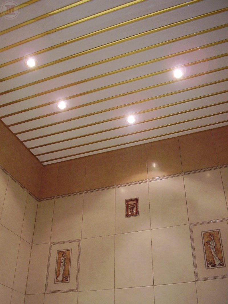 Rack ceiling for the bathroom