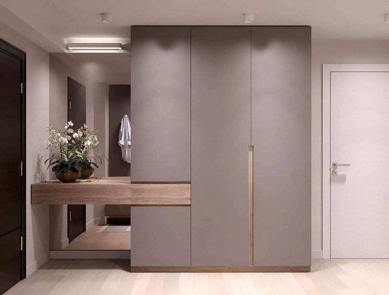 Halls of cabinets in a modern style