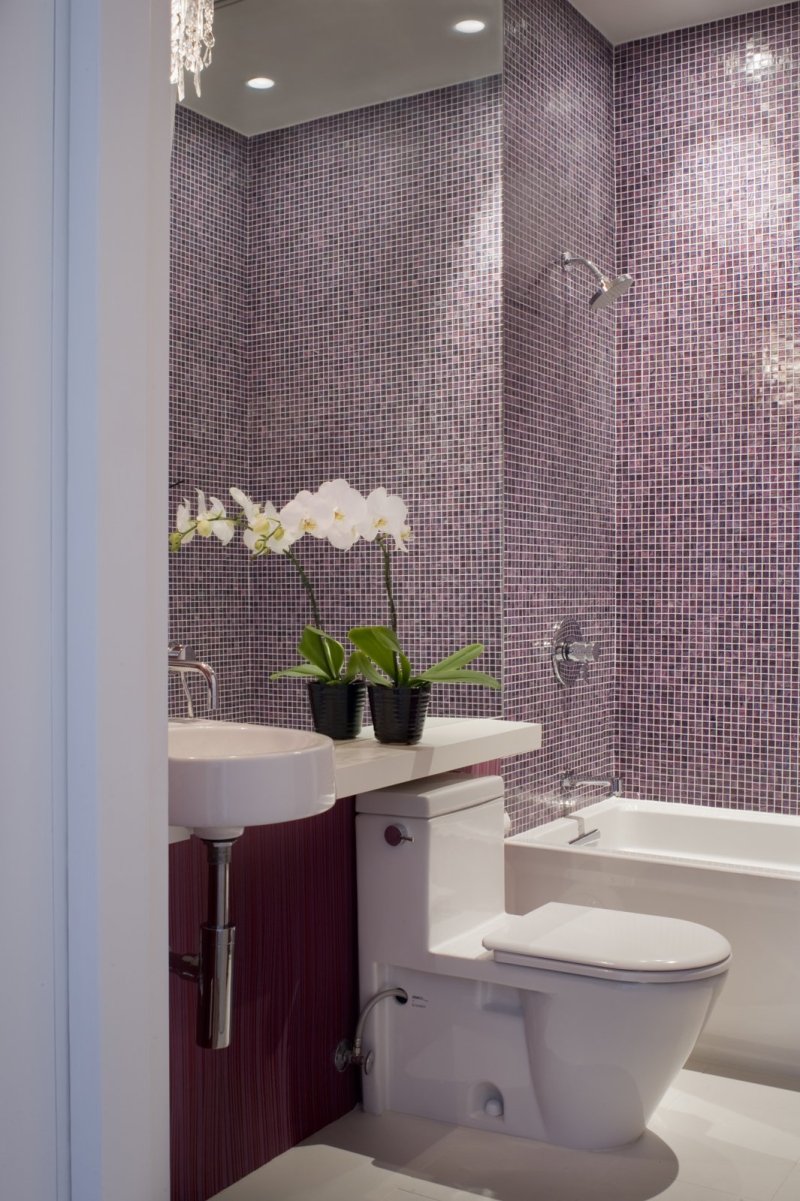 Toilet interior with mosaic