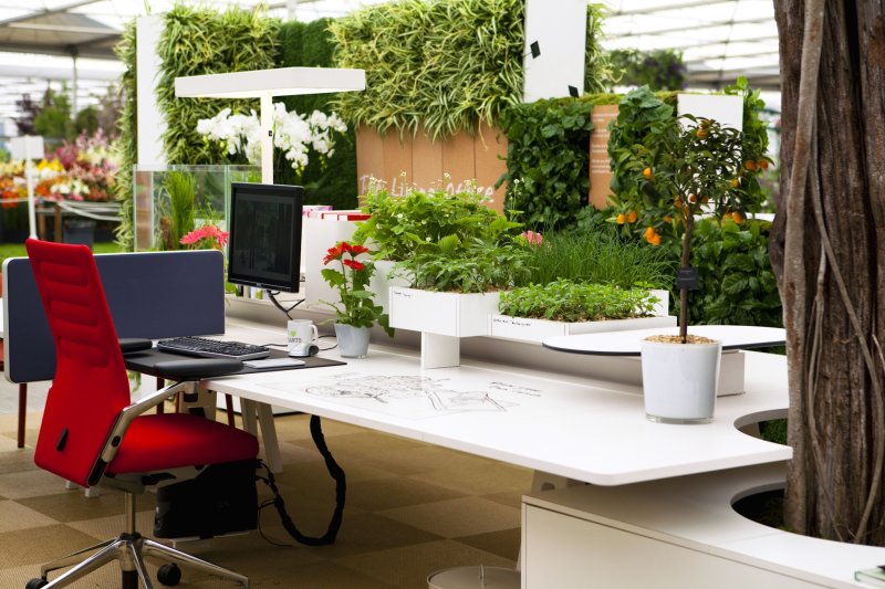 The landscaping of the office