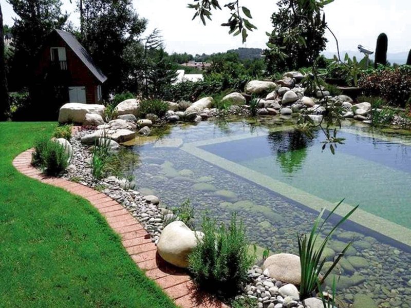 Garden pond