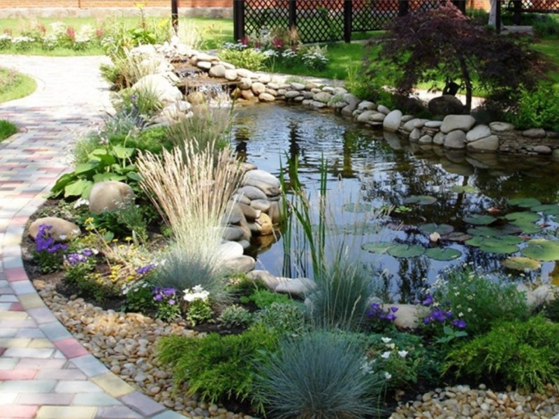 Landscape design pond