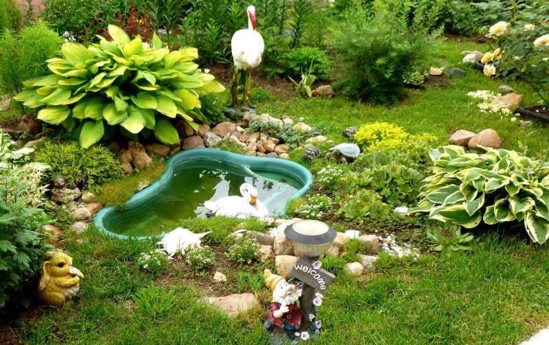 Garden pond