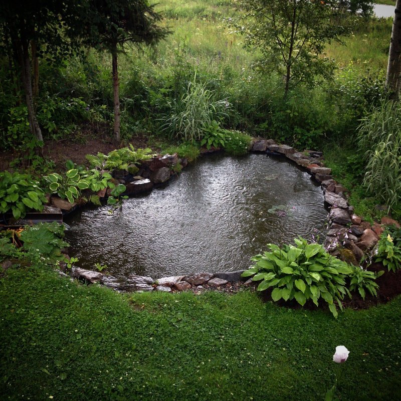 Garden pond