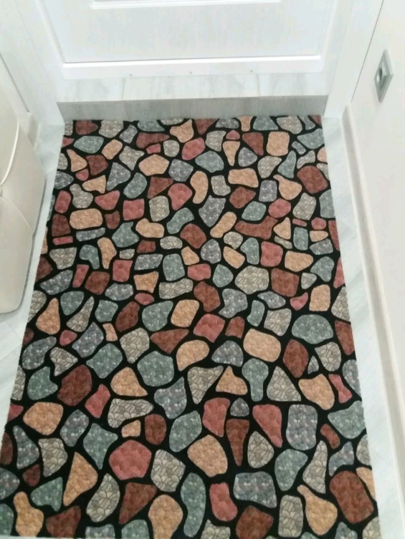 The carpet in the hallway