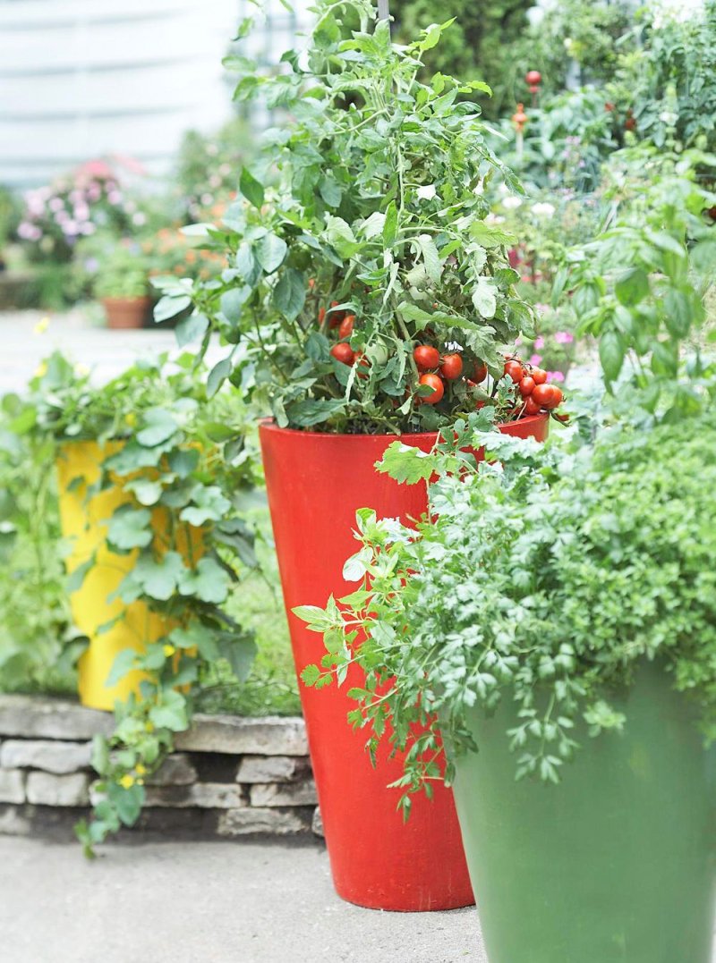 Container landscaping Patio