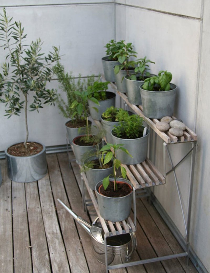 Garden on the balcony