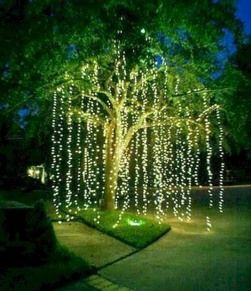 Decoration of trees with garlands