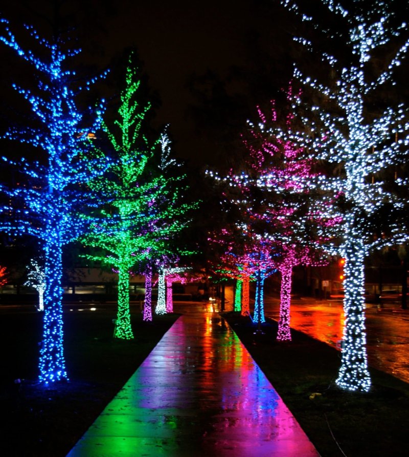 Decoration of trees with garlands