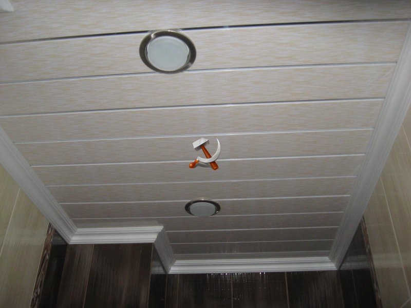 Plastic panels for the ceiling in the bathroom