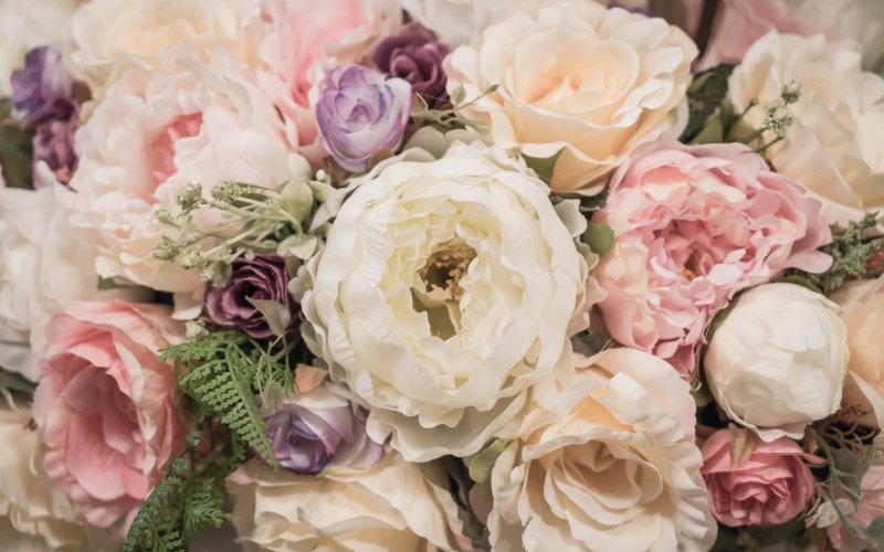 Puff peonies of a bouquet