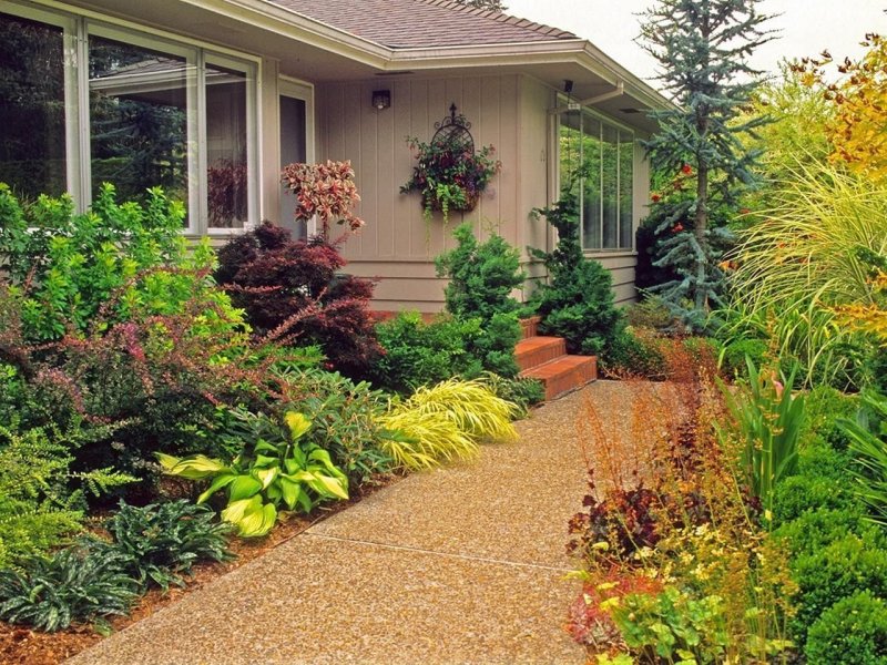 Landscape design in front of the house